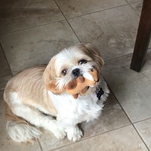 Meet your Posher, Maureen